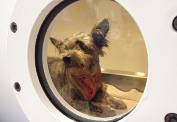 camaras hiperbaricas